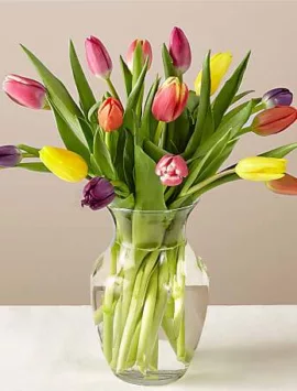 Spring Breeze Multicolored Tulip Bouquet | Best