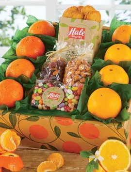 Spring Citrus Gift Box