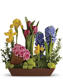 Spring Favorites | Mixed Bouquets | Same Day Flower Delivery | Multi-Colored | Teleflora