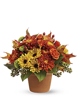 Sugar Maples | Roses | Same Day Flower Delivery | Multi-Colored | Teleflora