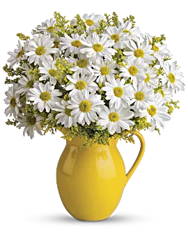 Sunny Day Pitcher Of Daisies Bouquet | Same Day Flower Delivery | Multi-Colored | Teleflora