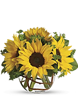 Sunny Sunflowers | Same Day Flower Delivery | Yellow | Teleflora