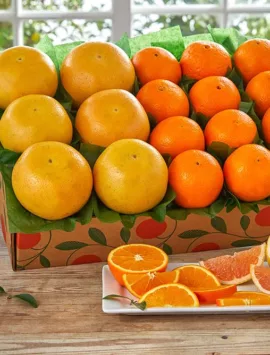 Sunshine Special Navels & Grapefruit