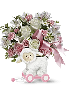 Sweet Little Lamb | Mixed Bouquets | Same Day Flower Delivery | Multi-Colored | Teleflora
