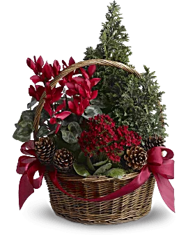 Tannenbaum Basket | Mixed Bouquets | Same Day Flower Delivery | Red | Teleflora