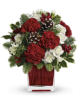 Teleflora Christmas Flower Arrangement. Red And White Carnations. Same Day Flower Delivery.