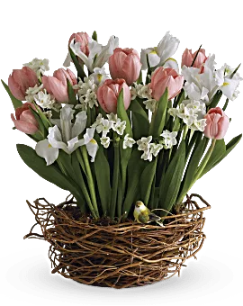 Tulip Song | Mixed Bouquets | Same Day Flower Delivery | Multi-Colored | Teleflora
