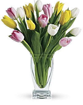 Tulip Treasure | Tulips | Same Day Flower Delivery | Multi-Colored | Teleflora