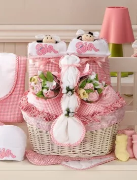 Twice The Fun Twin Newborn Gift Basket Girls