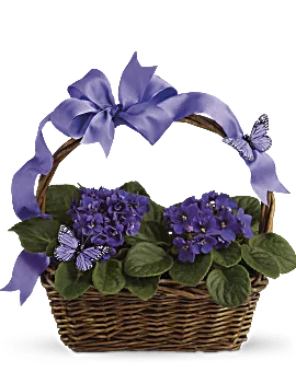Violets And Butterflies | Mixed Bouquets | Same Day Flower Delivery | Multi-Colored | Teleflora