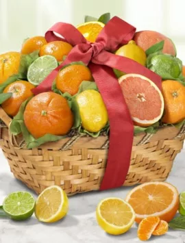 Welcome Sunshine Citrus Fruit Basket