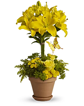 Yellow Fellow | Mixed Bouquets | Same Day Flower Delivery | Teleflora