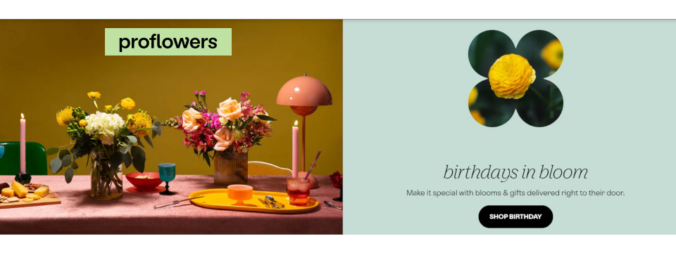 Flowerica Brand Flowers Plants Gifts Baskets Gourmet Treats