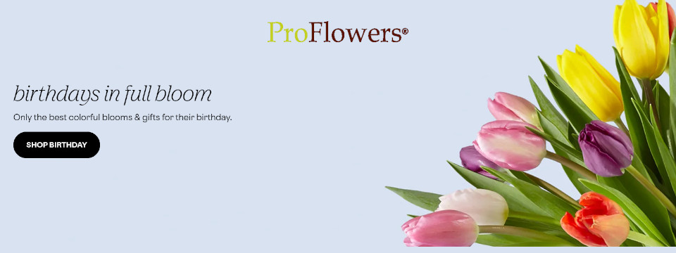 Flowerica Brand Flowers Plants Gifts Baskets Gourmet Treats